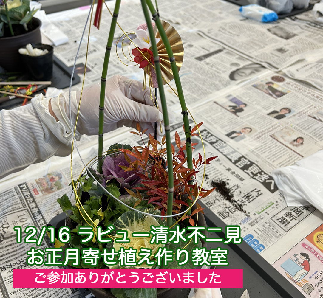 お正月寄せ植え作り教室を開催しました（23年清水不二見）